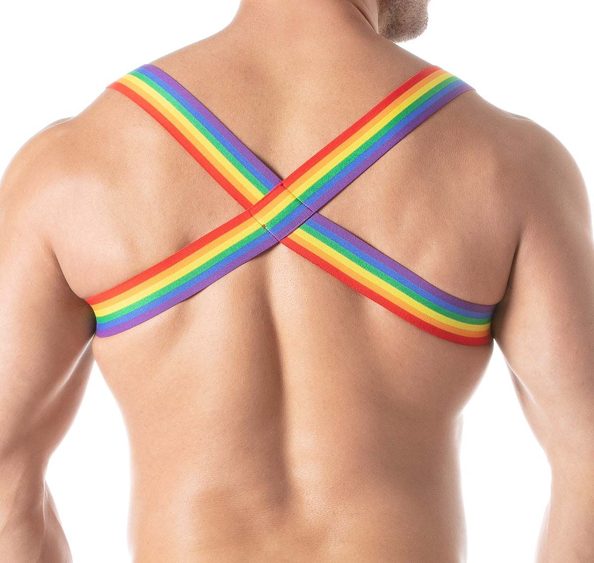 TOF Harness RAINBOW CHEST HARNESS TOD385RW, multicolor
