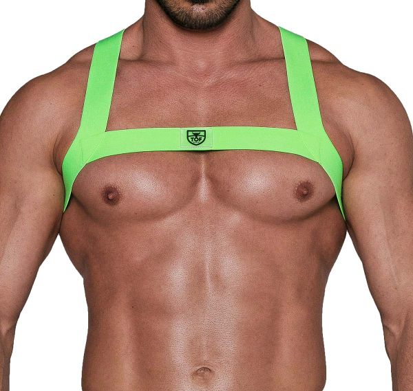 TOF Imbracatura FETISH HARNESS NEON GREEN H0017VF, verde 