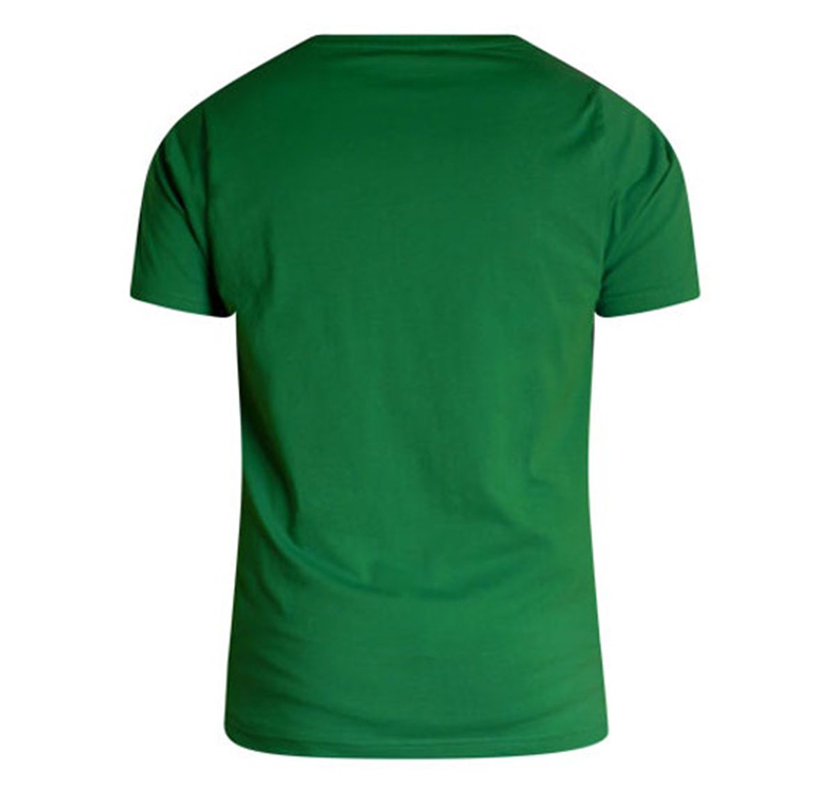 aussieBum T-Shirt DESIGNER TEE SUNSET, green