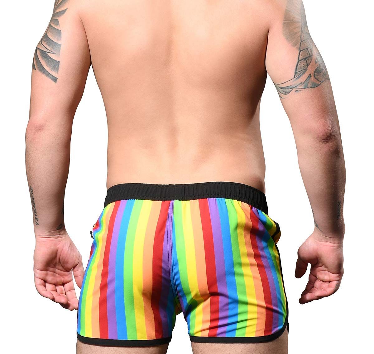 Andrew Christian Swim Shorts PRIDE STRIPE SWIM SHORTS 70099, multicolor
