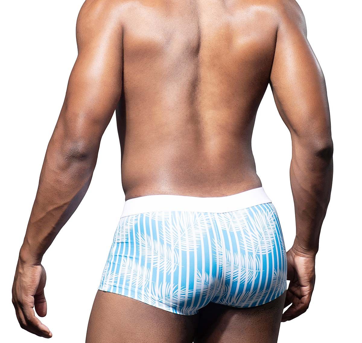 Andrew Christian swim trunk HOLIDAY TRUNK 70084, multicolor