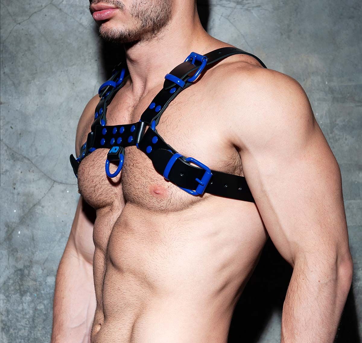 AD FETISH Imbracatura LEATHER COLOR HARNESS ADF119, blu reale
