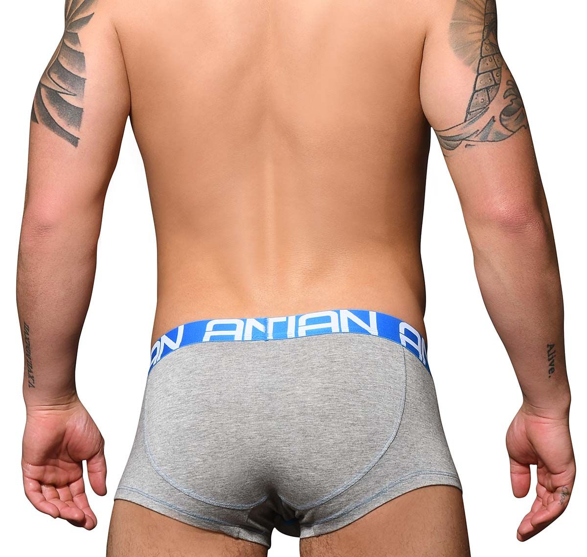 Andrew Christian Boxers COOLFLEX MODAL BOXER w/ Show-It 92457, grey