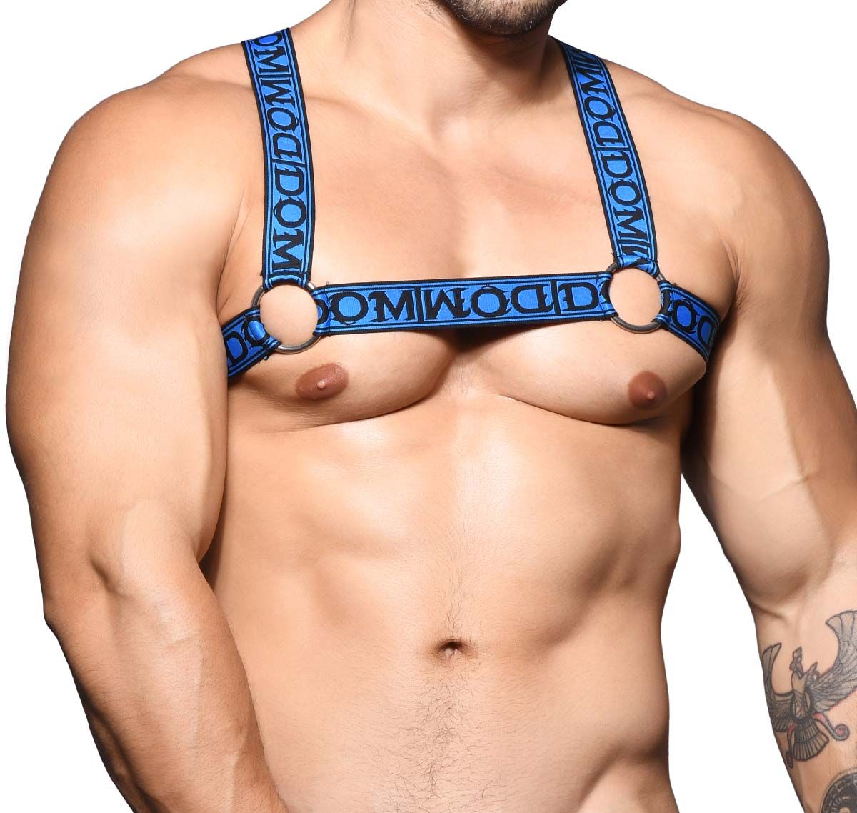 Andrew Christian Harness DOM RING HARNESS 3184, black-blue