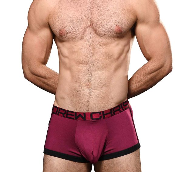 Andrew Christian Boxers TROPHY BOY FOR HUNG GUYS BOXER 93008, wine red