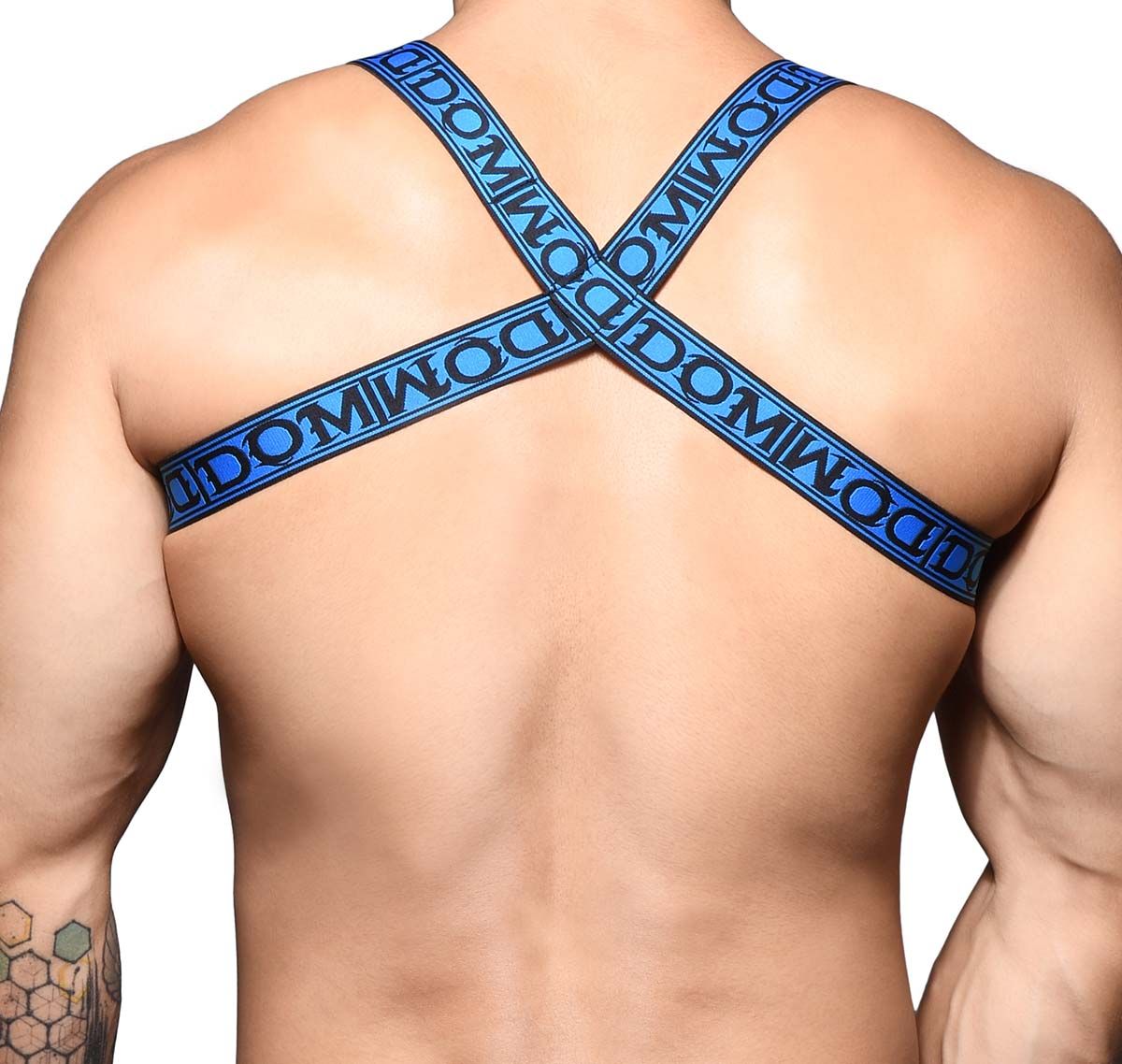 Andrew Christian Harness DOM RING HARNESS 3184, black-blue