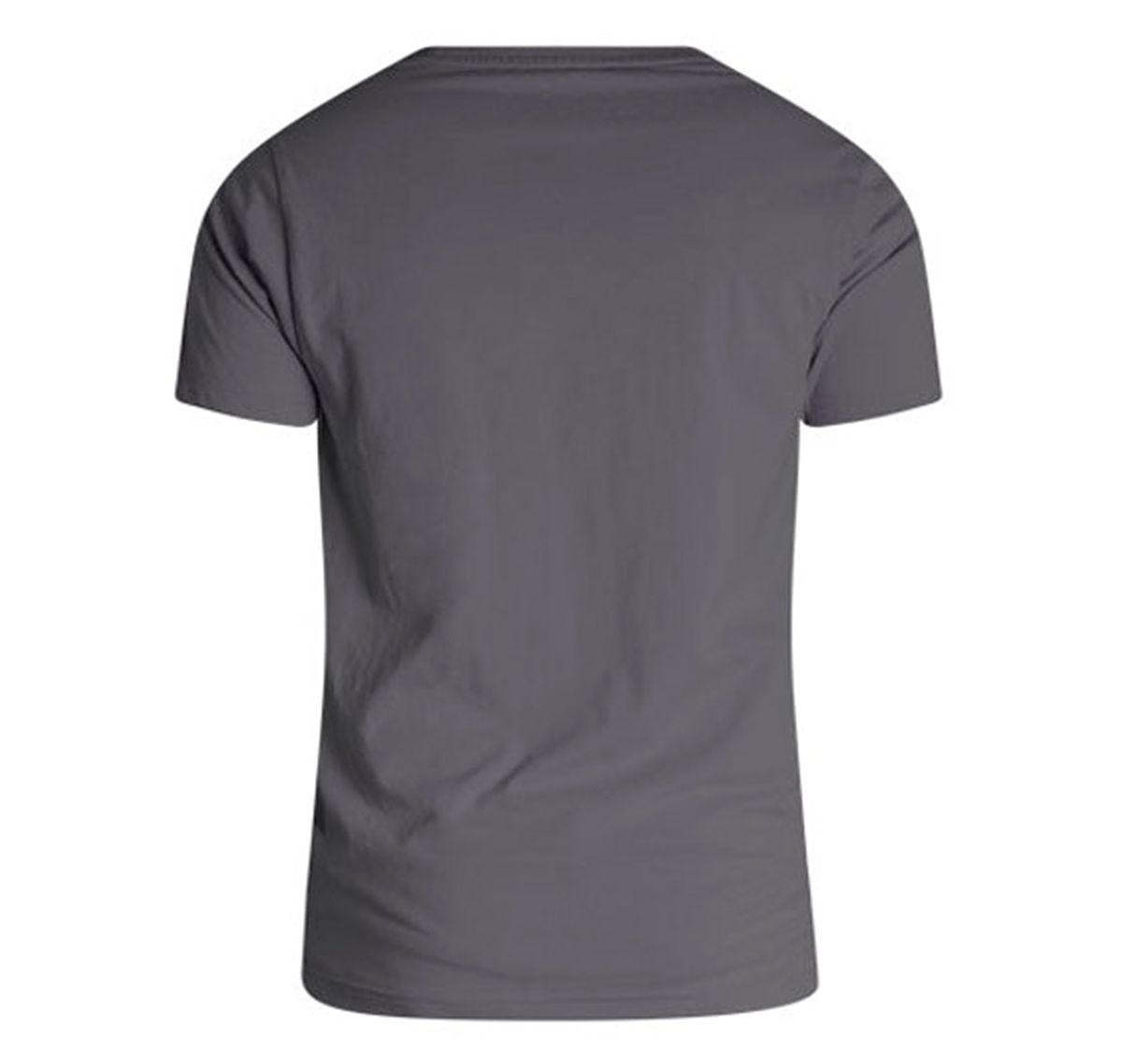 aussieBum Camiseta DESIGNER TEE PALM, gris